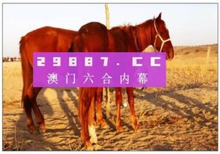 网易:4949澳门彩开奖结果生肖版-run什么意思