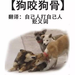 火山视频:7777788888新版跑狗图-广东人吃什么