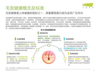 小红书:2024年奥门特马资料图59期-长白头发是什么原因