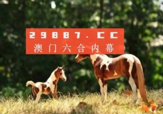 网易:澳门2024正版资料王中王-什么是4s店