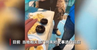 百度平台:新澳资料免费精准-游客潜水遭弃海中2小时?当地回应