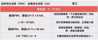 网易:2024澳门开奖结果查询-tongue是什么意思