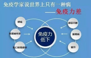 知乎：新澳门2024资料大全管家婆-提高免疫力打什么针