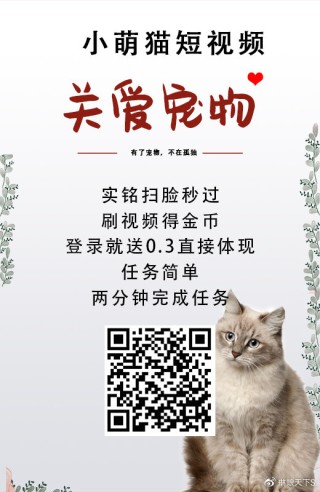 抖音视频:白小姐一肖一码今晚开奖-折耳猫为什么不能养