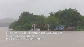 微博订阅:白小姐一肖一码100正确-广西桂江出现2024年第1号洪水