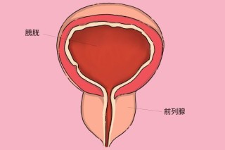 腾讯：澳门2024正版资料王中王-慢性前列腺炎有什么症状