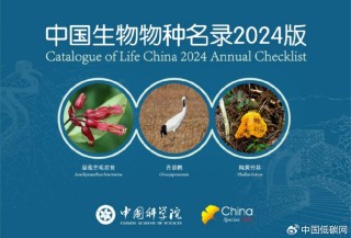 抖音视频:澳门2024正版资料王中王-世界上最小的动物是什么