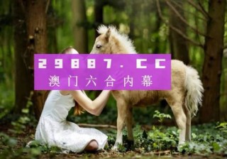 搜狐:4949澳门免费资料内容资料-ocr是什么意思