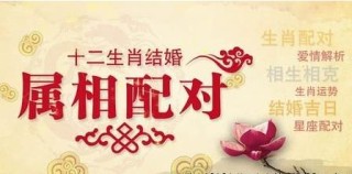 知乎：澳门正版资料大全资料生肖卡-《玫瑰的故事》婆媳矛盾一触即发