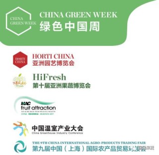 阿里巴巴:澳门正版资料免费大全精准-green是什么颜色