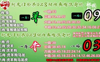 中新网:2024一肖一码100精准大全-你想什么