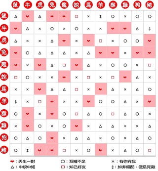 腾讯：2024澳门六今晚开奖结果出来新-97年属什么生肖