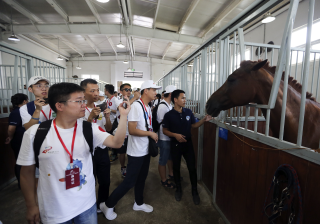 搜狐:二四六香港管家婆期期准资料大全-清华学姐裸辞创业当网红