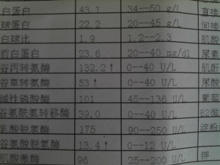 中新网:新澳精选资料免费提供-谷丙转氨酶偏高吃什么药