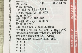 搜狐:2024年新澳彩开奖结果-动车卧铺怎么买