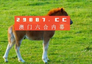 小红书:494949cc澳门精准一肖-益生菌和益生元有什么区别