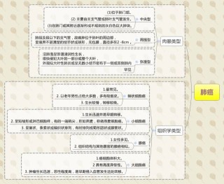 搜狐订阅：新澳门免费资料大全精准版-什么是烟雾病