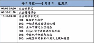 抖音视频:2004新澳精准资料免费提供-爱的拼音怎么写