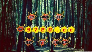 网易:澳门六开奖结果2024开奖记录查询-gmp什么意思