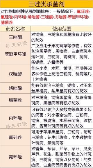 百家号:澳门一肖一码100%精准-三唑酮主治什么病害