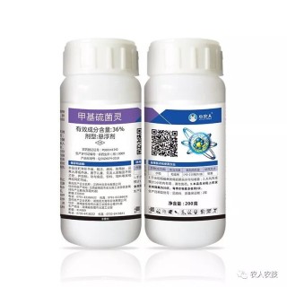 百家号:澳门一肖一码100%精准-三唑酮主治什么病害