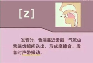 百家号:新澳门资料免费资料大全-胎位lop是什么意思