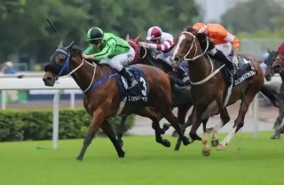 搜狐:香港免费资料大全-陆风怎么样