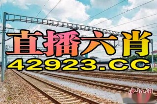 阿里巴巴:一码一肖100香港资料大全-一什么路灯