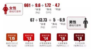 搜狗订阅:马会澳门正版资料查询-基础代谢是什么意思