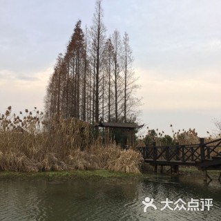 搜狐订阅：2o24澳门正版精准资料-沙家浜风景区怎么样