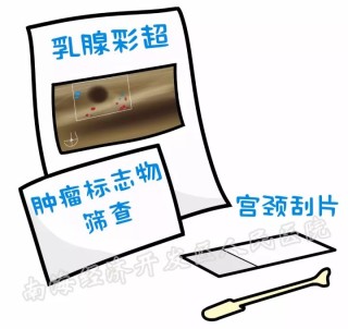 抖音视频:精准三肖三码资料大全-子宫附件彩超怎么检查