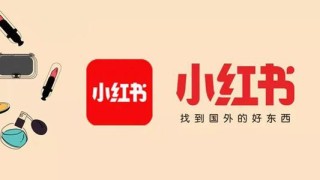 小红书:新澳彩资料免费资料大全33图库-00后真的有在认真找工作