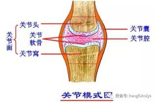 百家号:马会澳门正版资料查询-关节咔咔响是什么原因