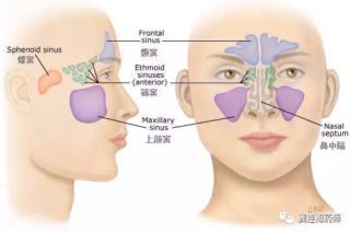 火山视频:澳门三期必内必中一期-鼻炎和鼻窦炎有什么区别