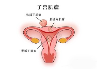 中新网:管家婆一肖-一码-一中一特-真太阳时是什么意思