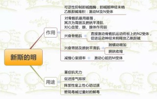 搜狐:新澳彩资料免费资料大全-什么东西可以解酒