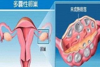 微博订阅:2024新澳门正版免费资料-滴滴顺风车怎么接单