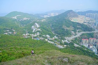 搜狐:香港资料图库一免费-青岛17中怎么样