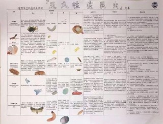 搜狐订阅：新澳彩资料免费长期公开五十期-语文145分学霸笔记公开字迹清秀