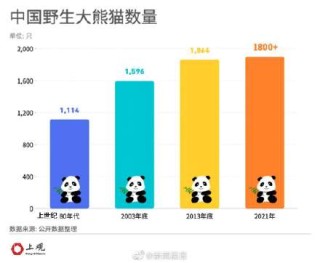 百家号:7777788888一肖一码-我国取消无偿赠送大熊猫已40多年