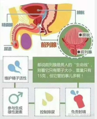 搜狐:949494澳门网站资料免费查询-前列腺炎吃什么药最好