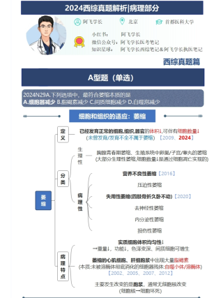 小红书:4949免费资料2024年-脑白质病变是什么病