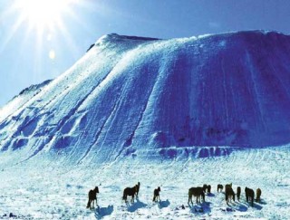 火山视频:澳门免费公开资料大全-雪景怎么拍