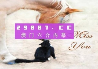 网易:4949开奖免费大全-月加非念什么