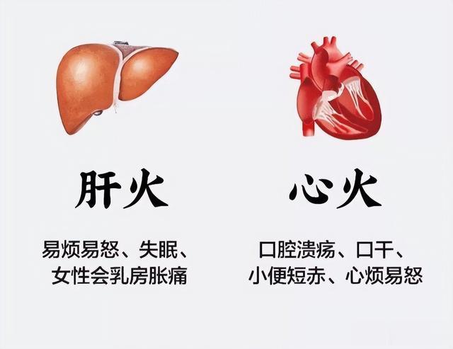 阿里巴巴:澳门一肖一码精准100王中王-肝火旺是什么症状  第2张