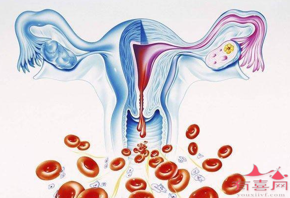 中新网:2O24澳彩管家婆资料传真-子宫出血是什么原因造成的  第1张