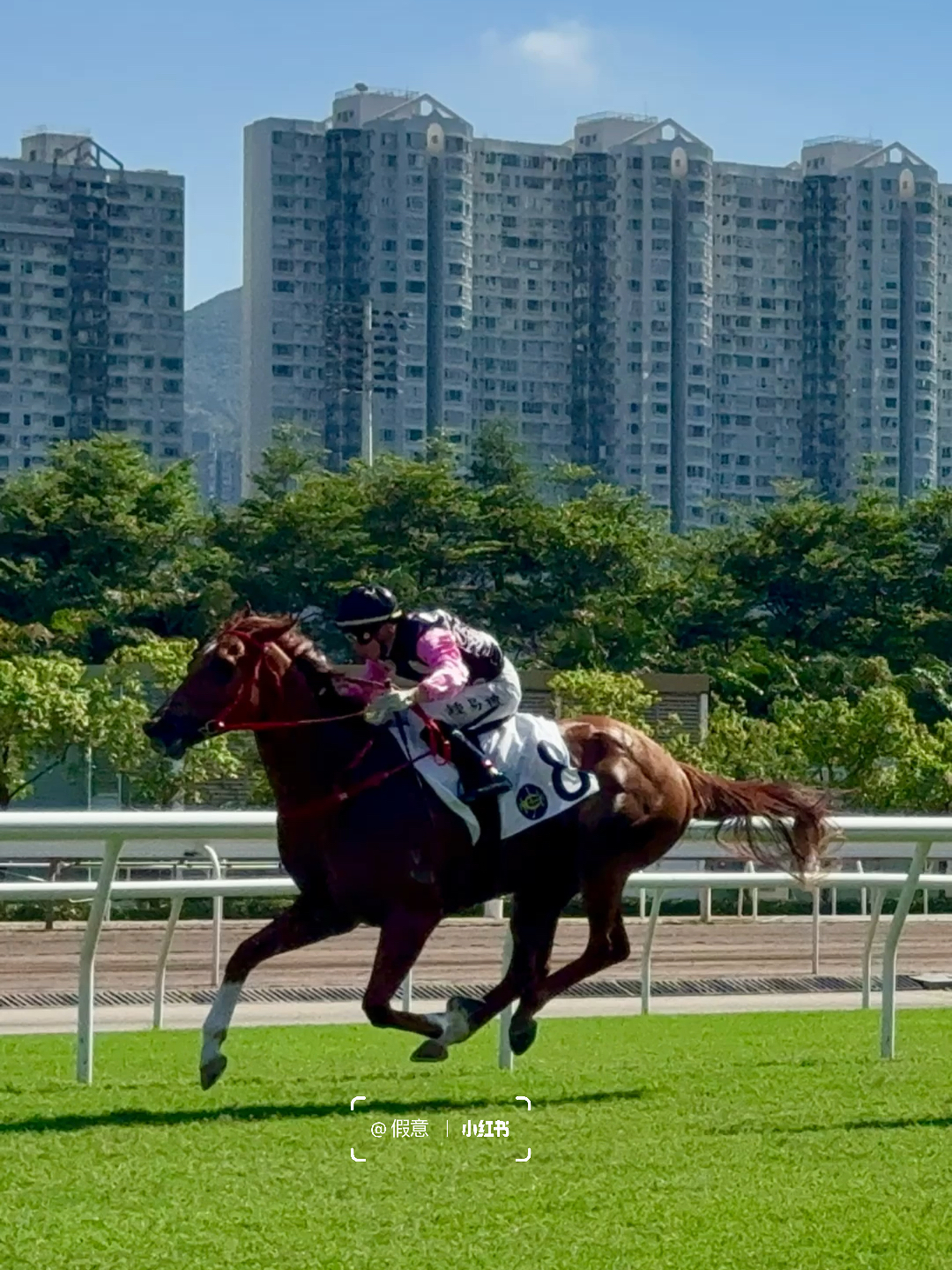 小红书:马会香港7777788888-sake什么意思  第2张