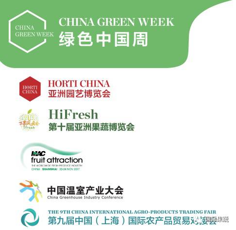 阿里巴巴:澳门正版资料免费大全精准-green是什么颜色  第1张