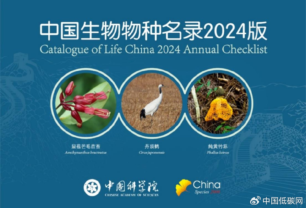 抖音视频:澳门2024正版资料王中王-世界上最小的动物是什么  第1张