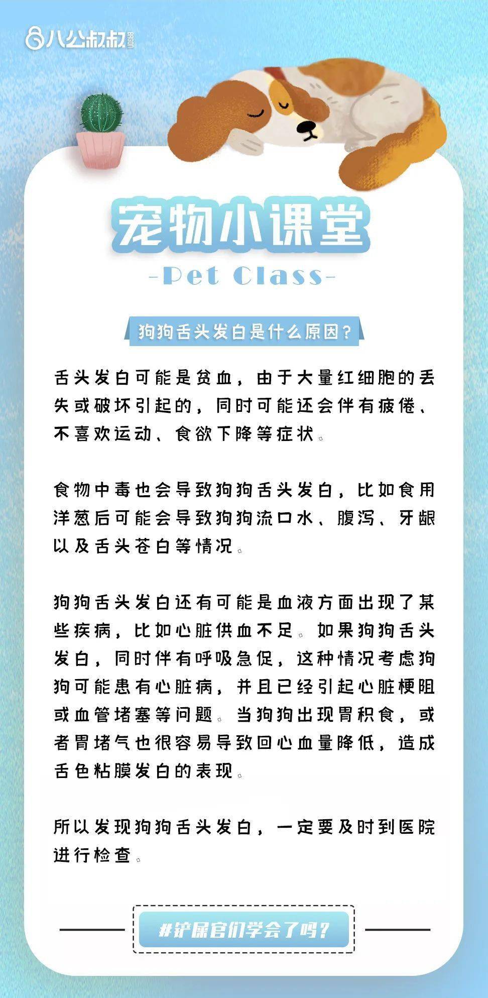 搜狐:2024年新澳门管家婆资料-狗舌头发白怎么回事  第1张